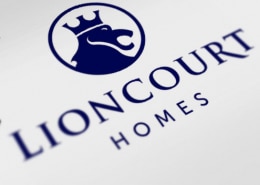 lioncourt, homs, testimonial, doocey, group, multi, utilities