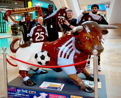 bulls, in, the, city, doocey, group, aston, villa