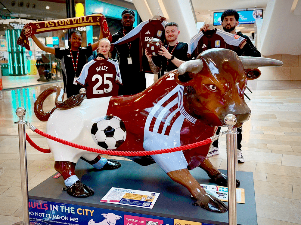 bulls, in, the, city, doocey, group, aston, villa