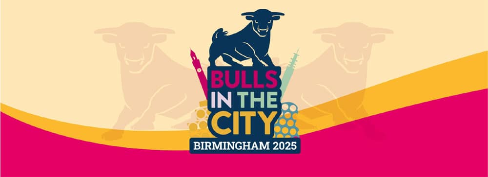 bulls, in, the, city, doocey, group, aston, villa